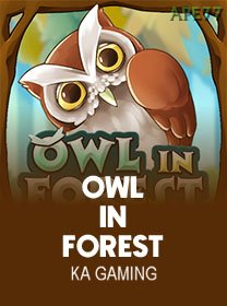 OwlIn Forest